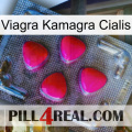 Viagra Kamagra Cialis 13